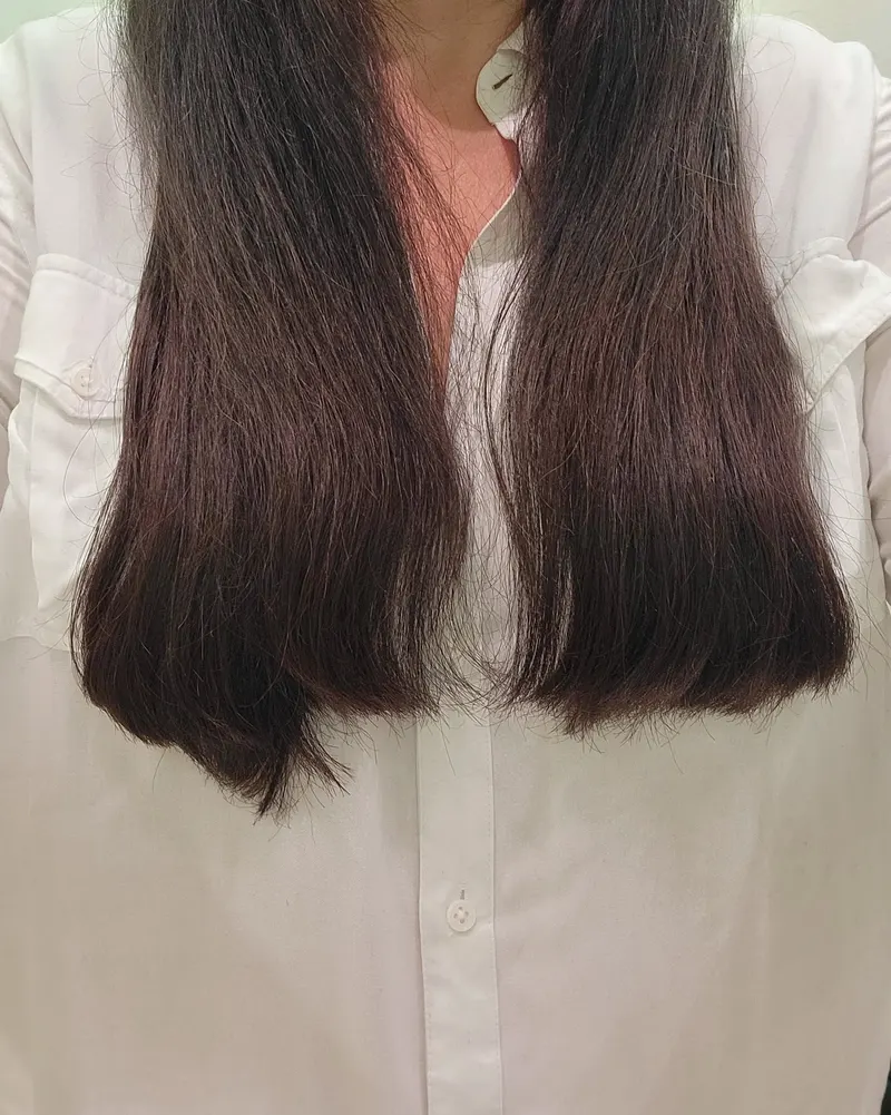 Fresh blunt cut, dark brown